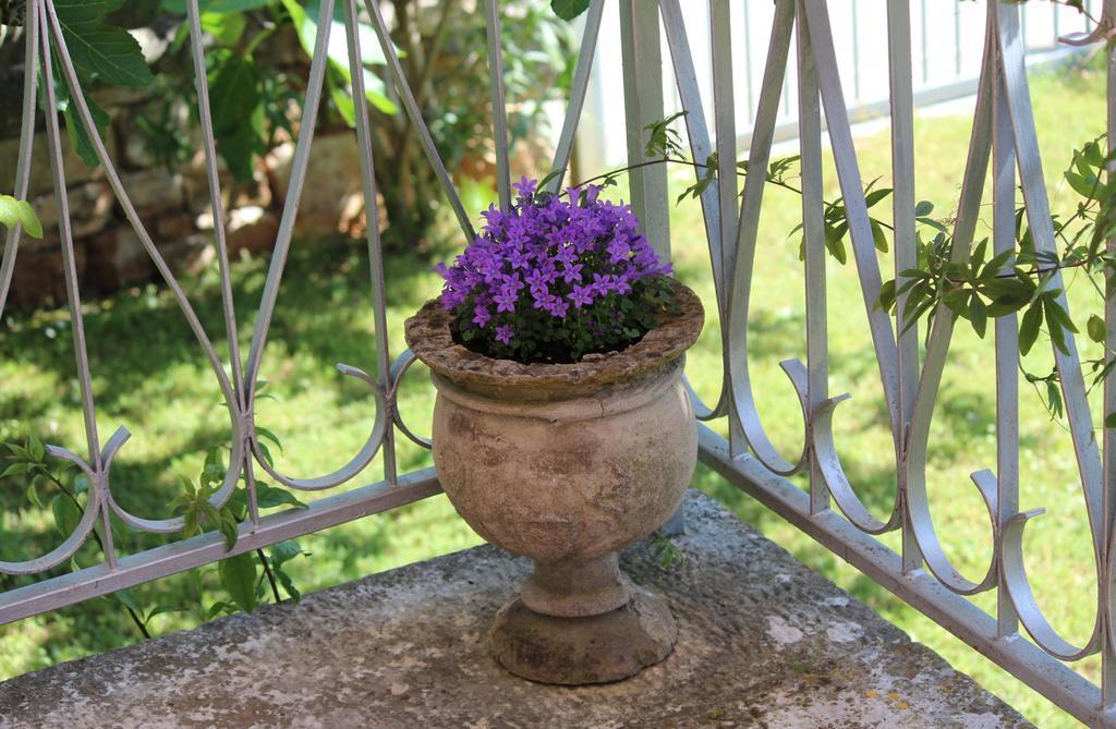 Studio And Room Tea Rovinj Exterior foto